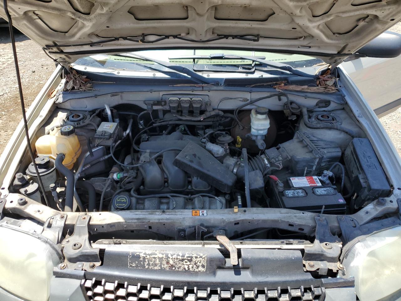 1FMYU93185KB36240 2005 Ford Escape Xlt