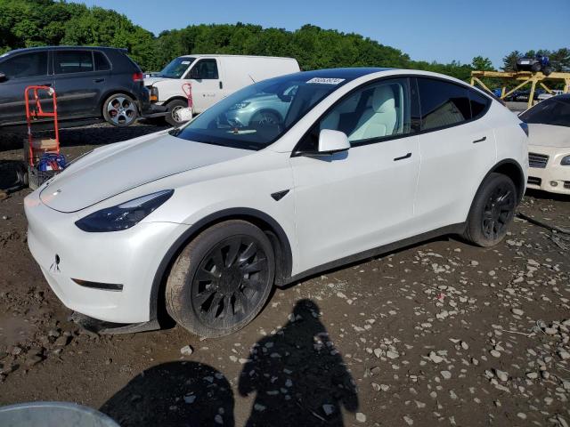 2023 TESLA MODEL Y - 7SAYGAEE3PF958542