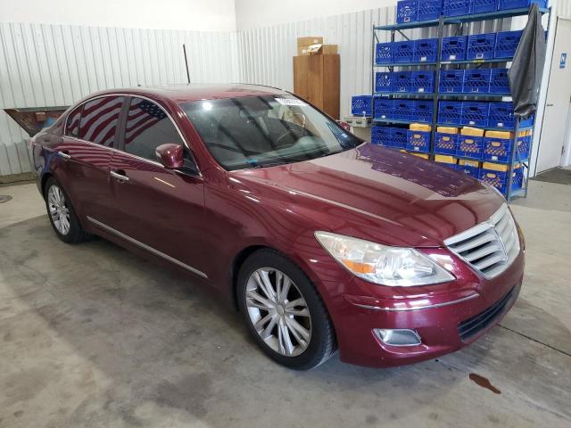 2009 Hyundai Genesis 4.6L VIN: KMHGC46F39U045010 Lot: 53942794