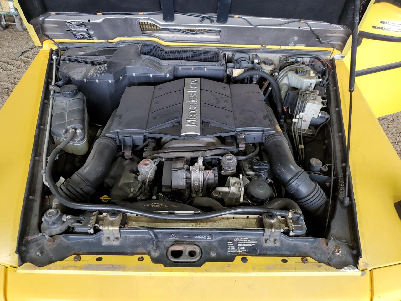 WDCYR49E53X138704 2003 Mercedes-Benz G 500