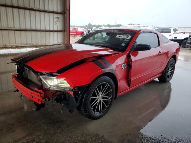 Lot #2538289617 2014 FORD MUSTANG salvage car