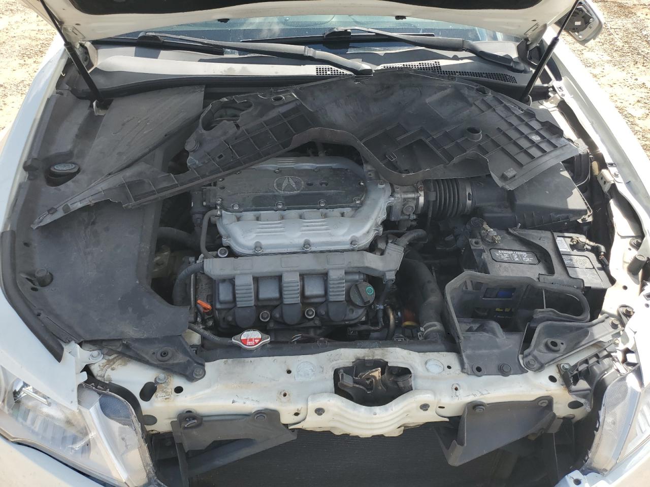 19UUA865X9A019843 2009 Acura Tl