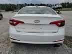 HYUNDAI SONATA SE photo