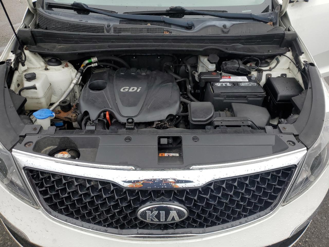 KNDPCCAC6E7566565 2014 Kia Sportage Ex