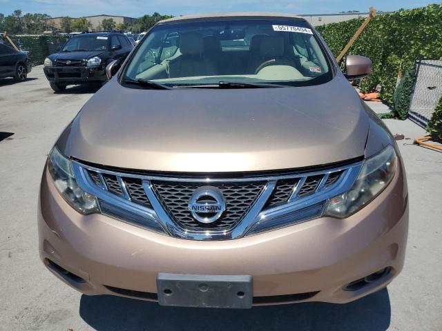 2011 Nissan Murano Crosscabriolet VIN: JN8AZ1FY1BW001028 Lot: 55770494