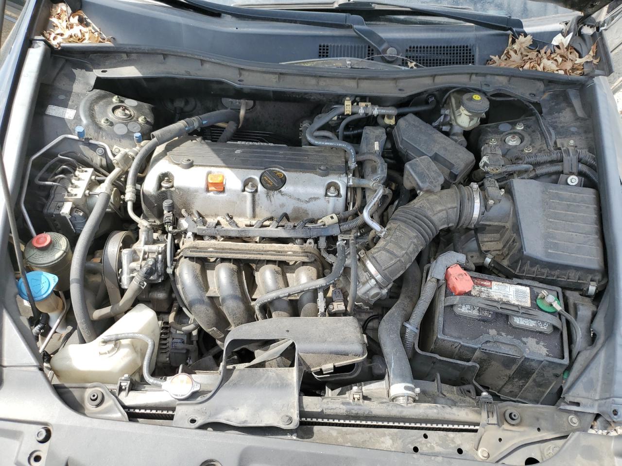 1HGCP2F40BA035263 2011 Honda Accord Lxp