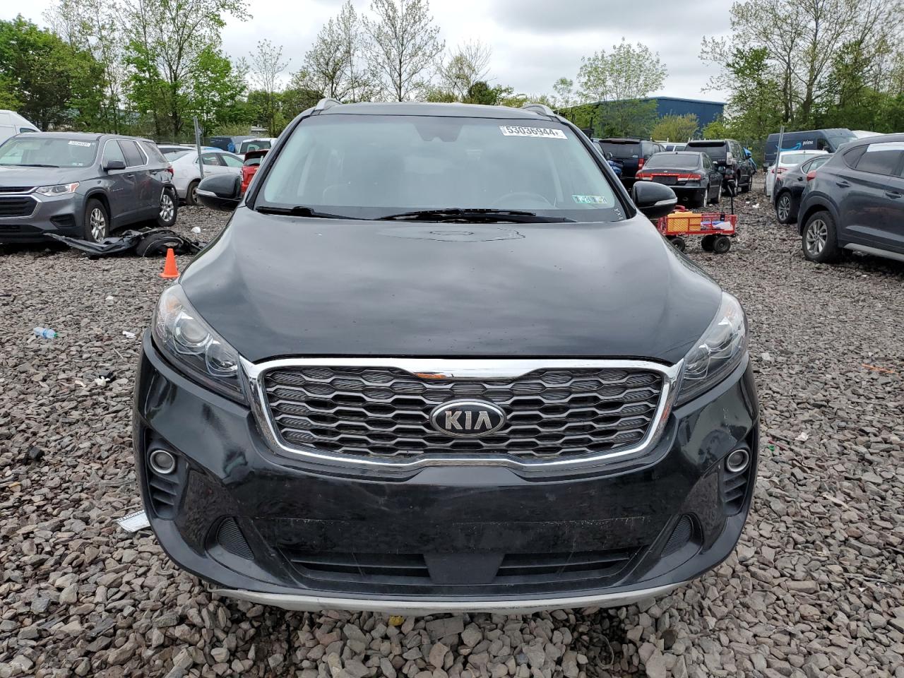 5XYPH4A5XKG524228 2019 Kia Sorento Ex