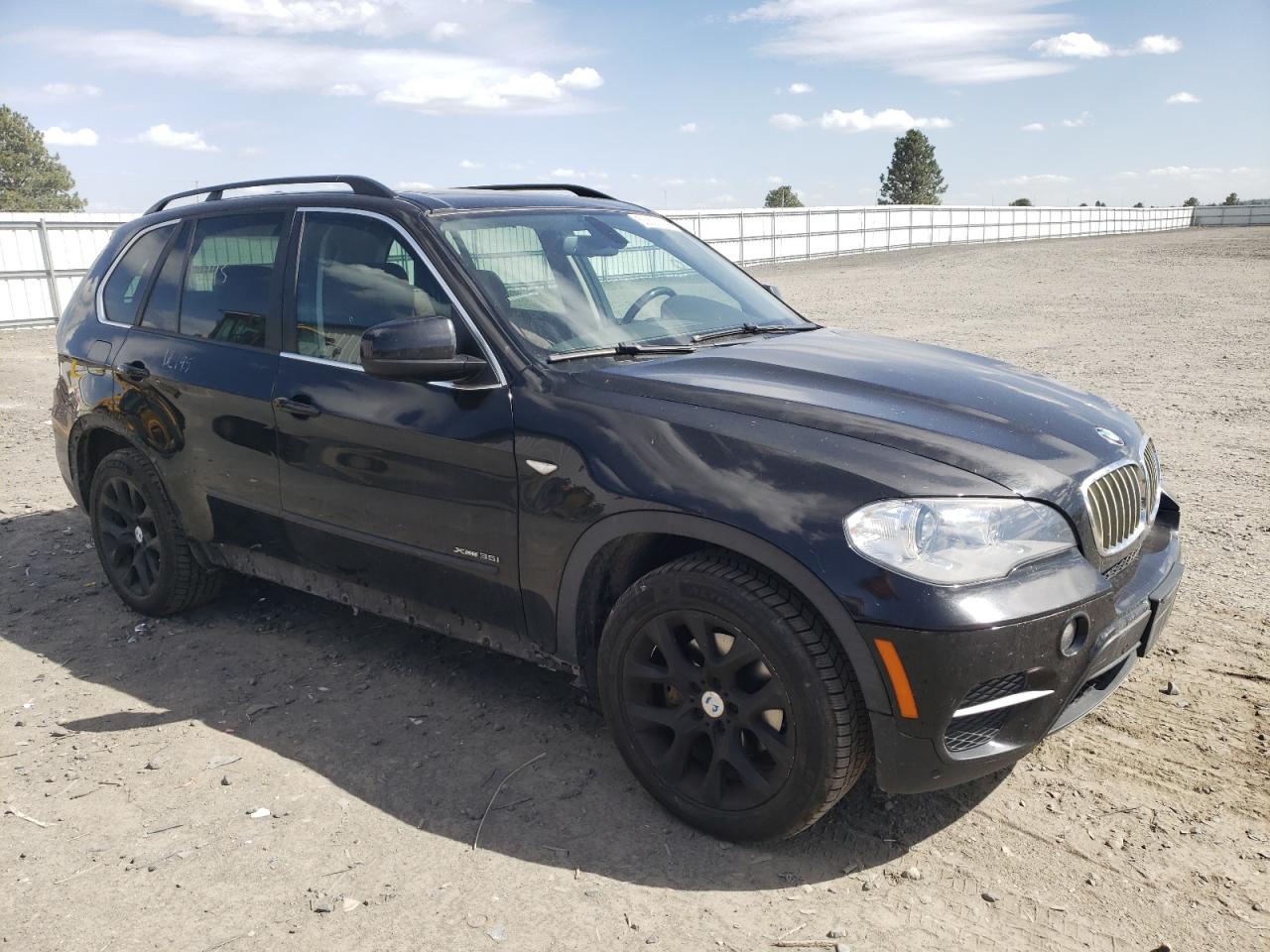 5UXZV4C56D0B09898 2013 BMW X5 xDrive35I