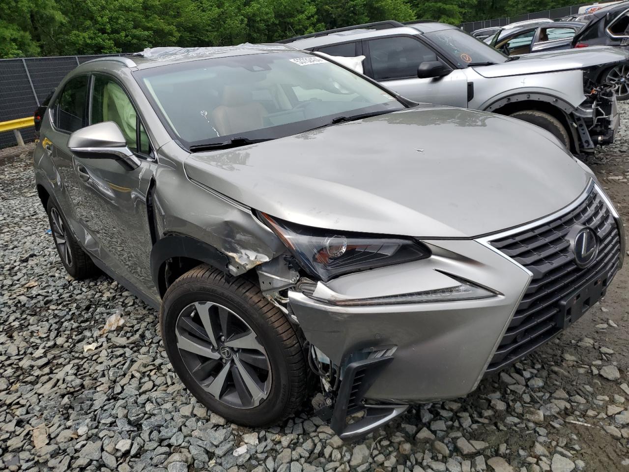 JTJBJRBZ1K2104216 2019 Lexus Nx 300H