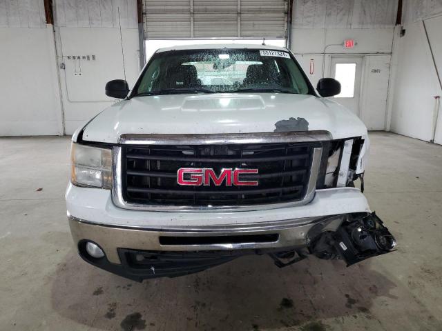 2010 GMC Sierra C1500 Sl VIN: 3GTRCUEA3AG187139 Lot: 55127324