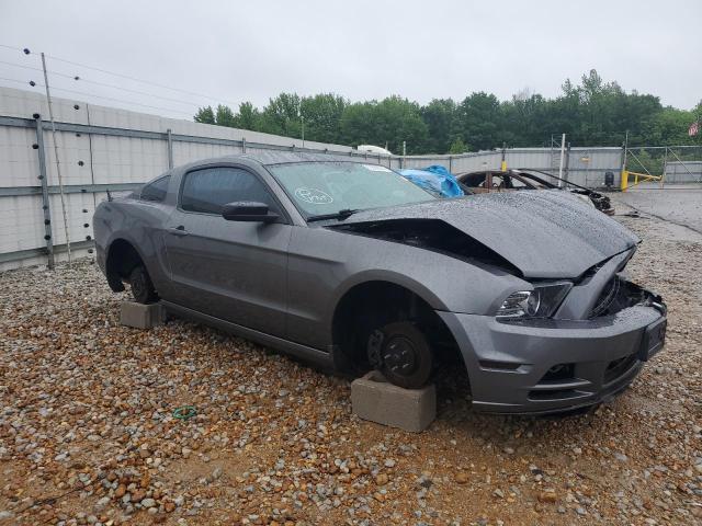 2013 Ford Mustang VIN: 1ZVBP8AM9D5213264 Lot: 51882044