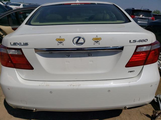 2009 Lexus Ls 460 VIN: JTHCL46F095003907 Lot: 54758954