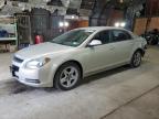 CHEVROLET MALIBU 1LT photo