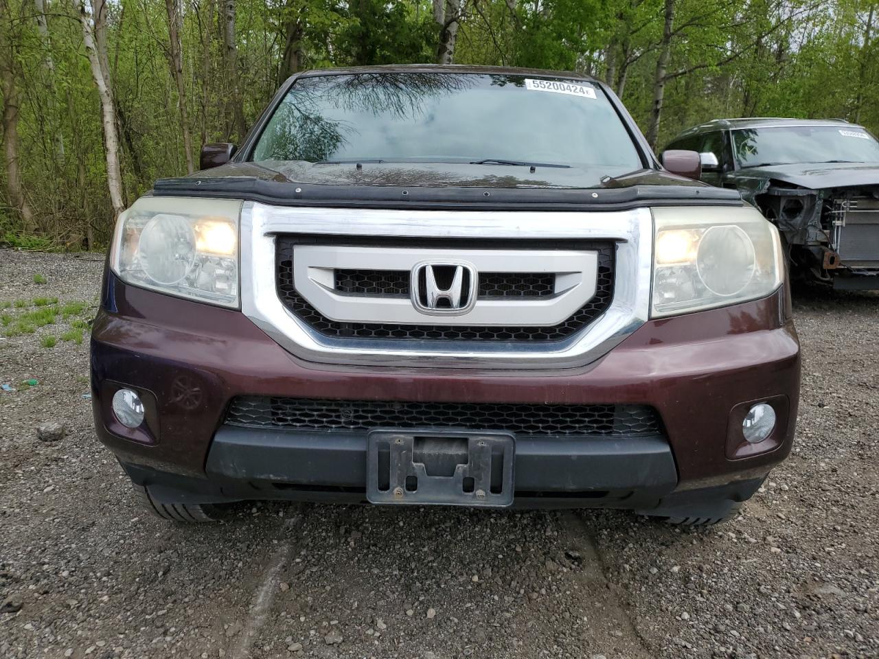 5FNYF4H51BB502786 2011 Honda Pilot Exl