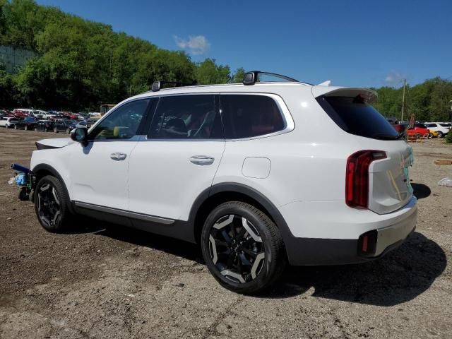 5XYP6DGC5RG510503 2024 KIA TELLURIDE - Image 2