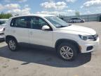 Lot #2701235115 2013 VOLKSWAGEN TIGUAN S