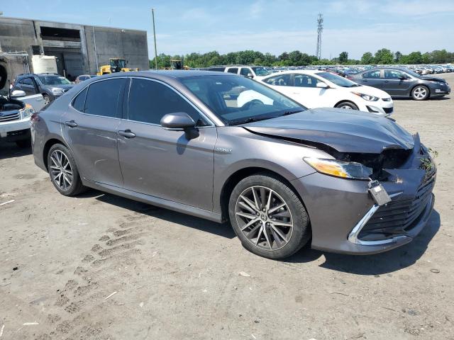 2021 Toyota Camry Xle VIN: 4T1F31AK9MU567065 Lot: 55842984