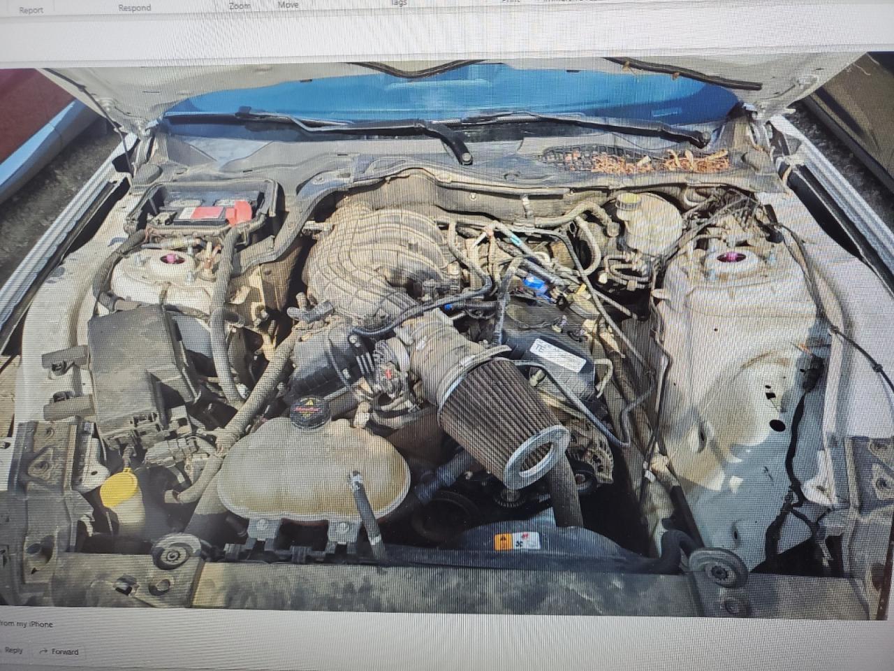 1FA6P8AM4F5430959 2015 Ford Mustang