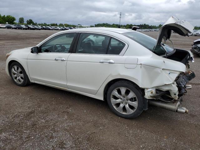 2008 Honda Accord Exl VIN: 1HGCP36868A803247 Lot: 56270974