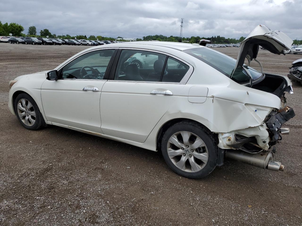 1HGCP36868A803247 2008 Honda Accord Exl