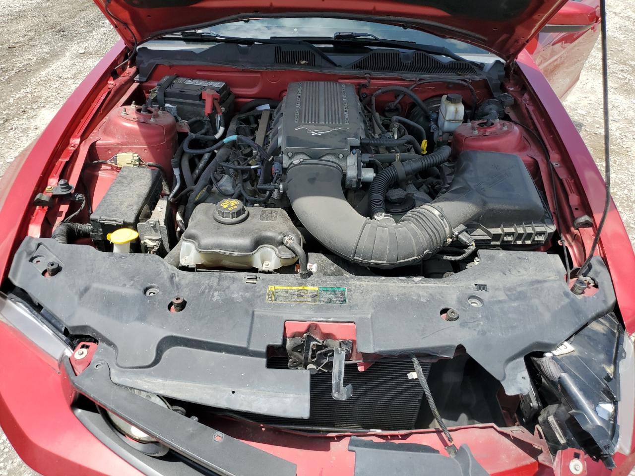 1ZVBP8CH2A5138631 2010 Ford Mustang Gt