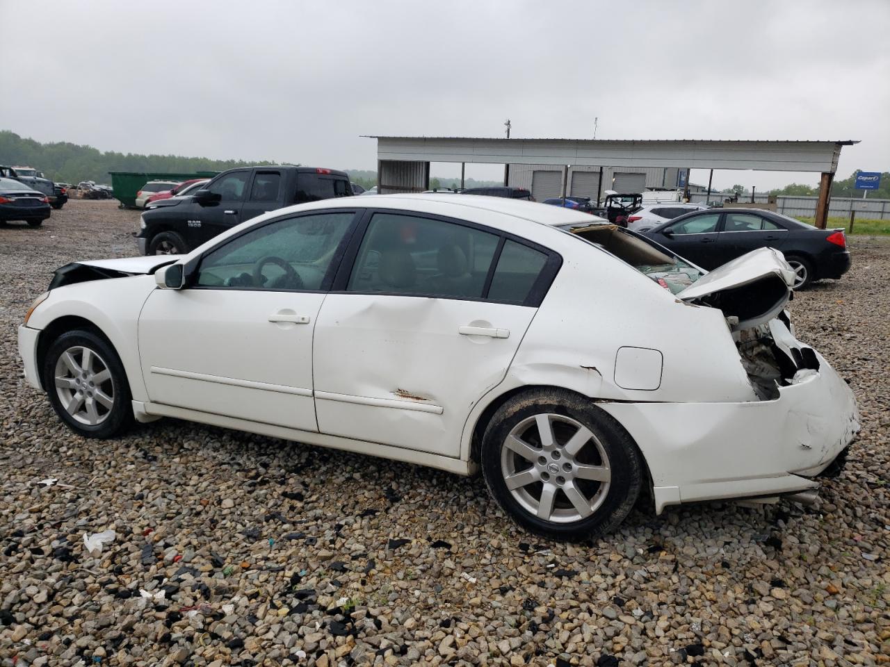 1N4BA41E34C861481 2004 Nissan Maxima Se