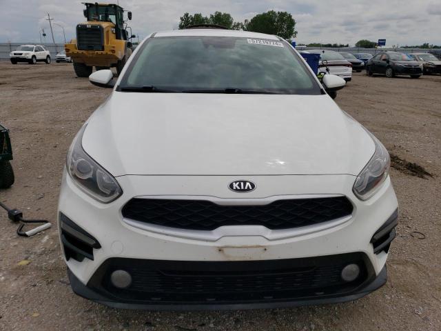 2019 Kia Forte Fe VIN: 3KPF24AD3KE113223 Lot: 57219774