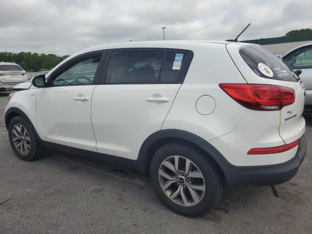 2015 Kia Sportage Lx VIN: KNDPBCAC5F7773405 Lot: 56156614