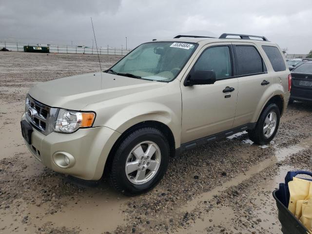 2012 Ford Escape Xlt VIN: 1FMCU9D74CKC66753 Lot: 55364684