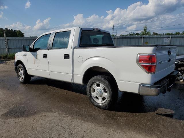 2013 Ford F150 Supercrew VIN: 1FTFW1CF3DKF37969 Lot: 53144114