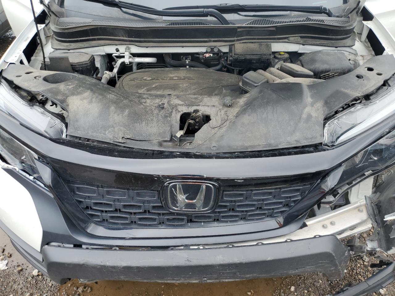 5FNYF8H20MB043329 2021 Honda Passport Sport