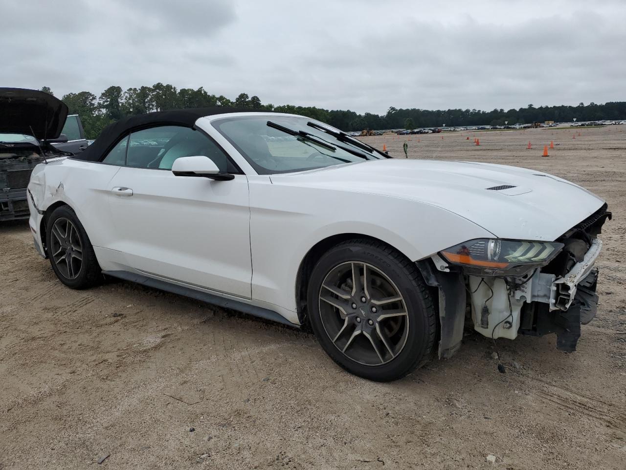 1FATP8UH9K5149316 2019 Ford Mustang