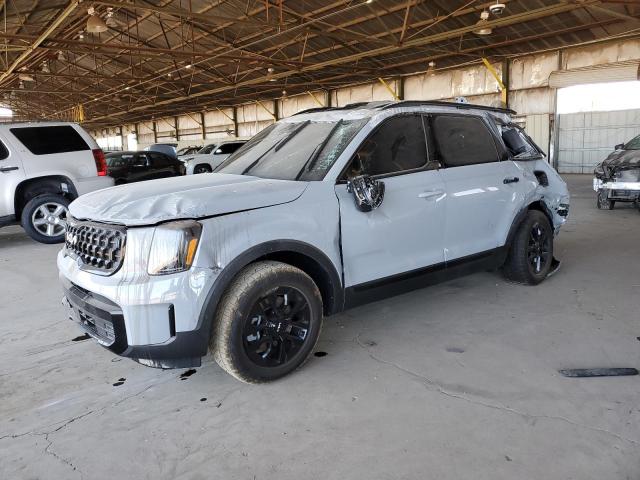 2024 Kia Telluride Sx VIN: 5XYP5DGC7RG489298 Lot: 53742864