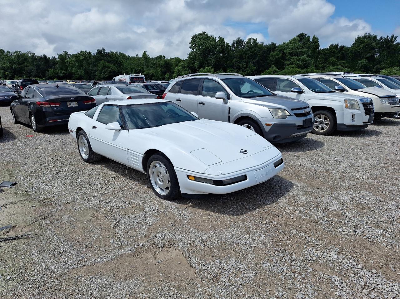 1G1YY23P0P5116854 1993 Chevrolet Corvette