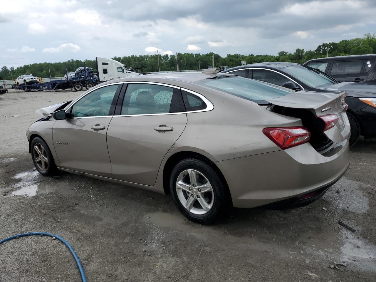 Lot #2970029878 2022 CHEVROLET MALIBU LT