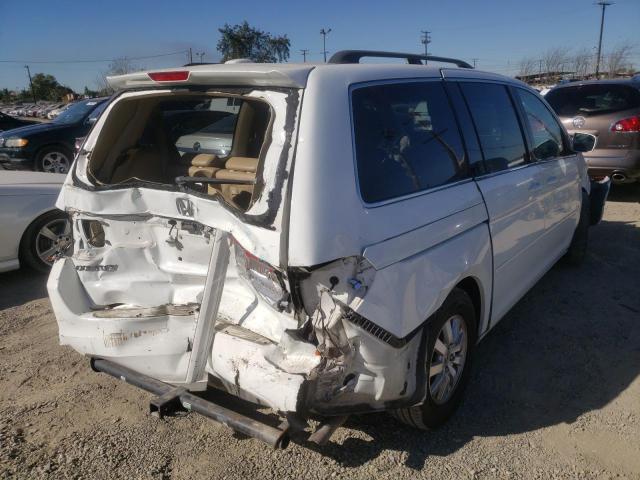 2008 Honda Odyssey Exl VIN: 5FNRL38658B107034 Lot: 53878214