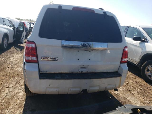 2010 Ford Escape Limited VIN: 1FMCU0EG3AKB61399 Lot: 55288554