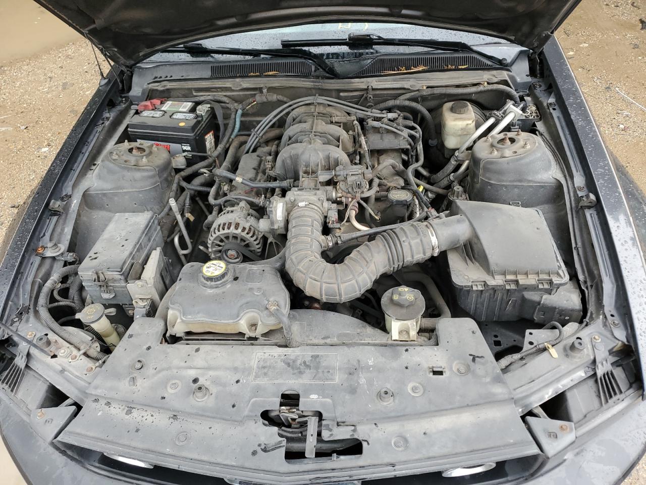 1ZVFT80N675361917 2007 Ford Mustang