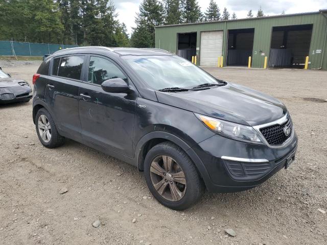 2016 Kia Sportage Lx VIN: KNDPBCAC0G7812452 Lot: 54778214