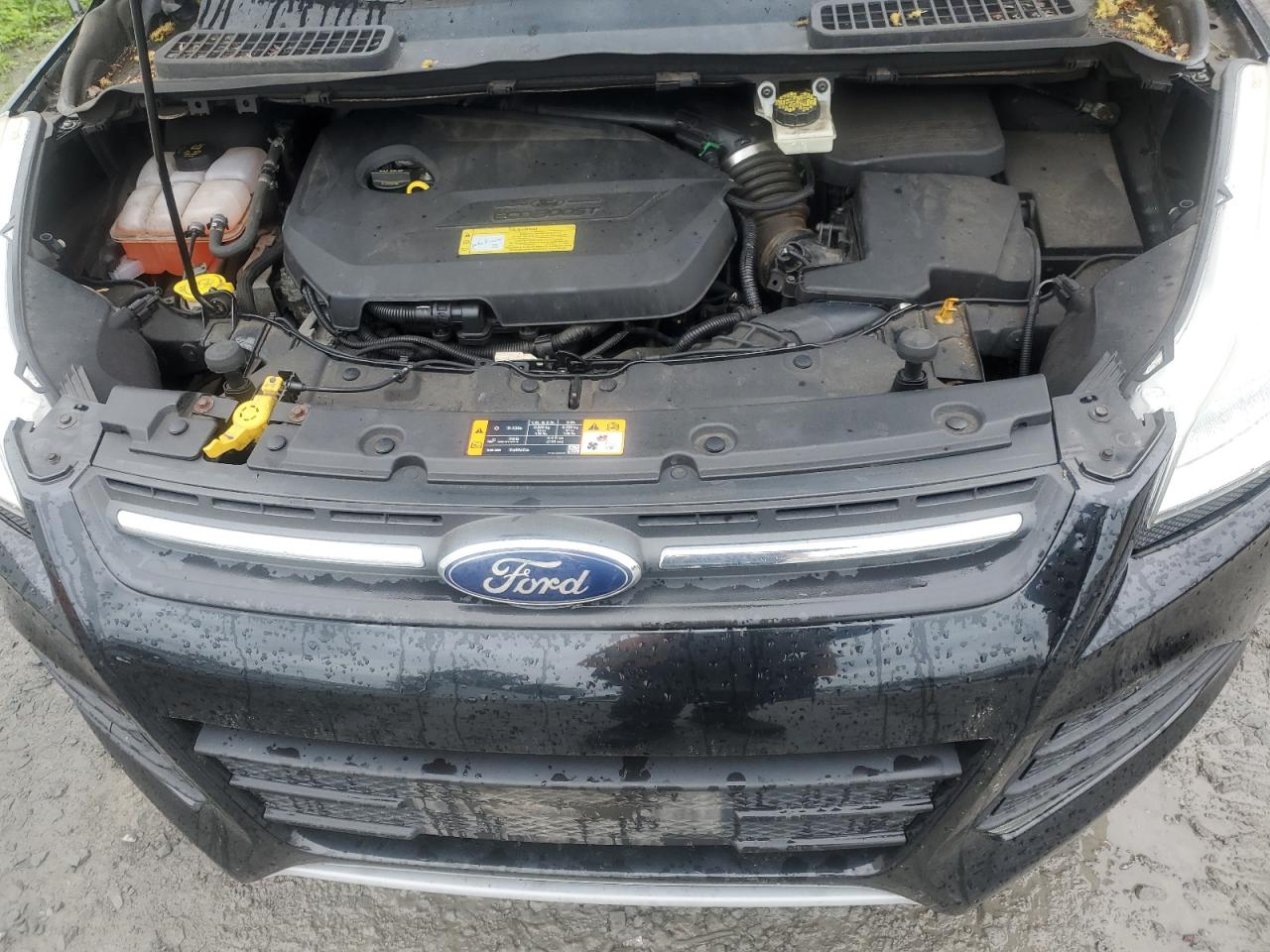 1FMCU9GX8EUA18623 2014 Ford Escape Se