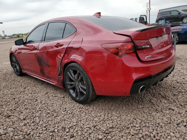 2019 Acura Tlx Technology VIN: 19UUB1F61KA001976 Lot: 55704544