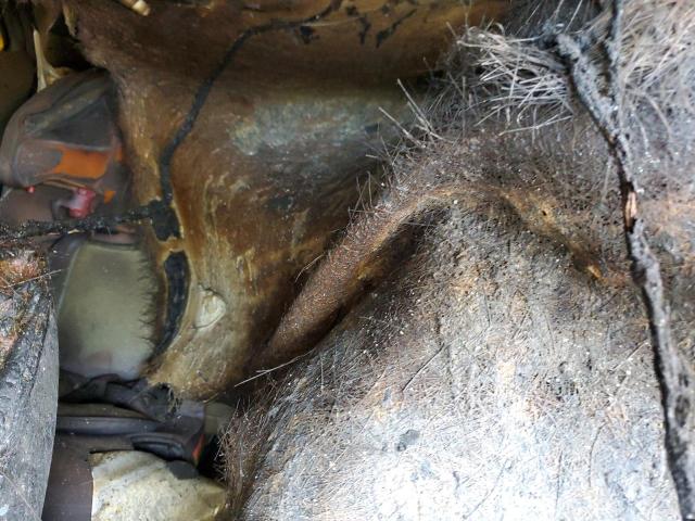 2016 Buick Encore VIN: KL4CJESB4GB726393 Lot: 56380054