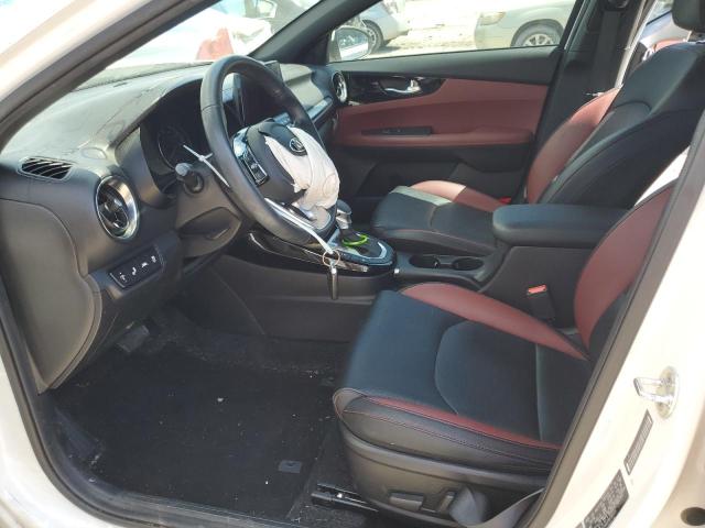 2019 Kia Forte Ex VIN: 3KPF54AD0KE033501 Lot: 54308394