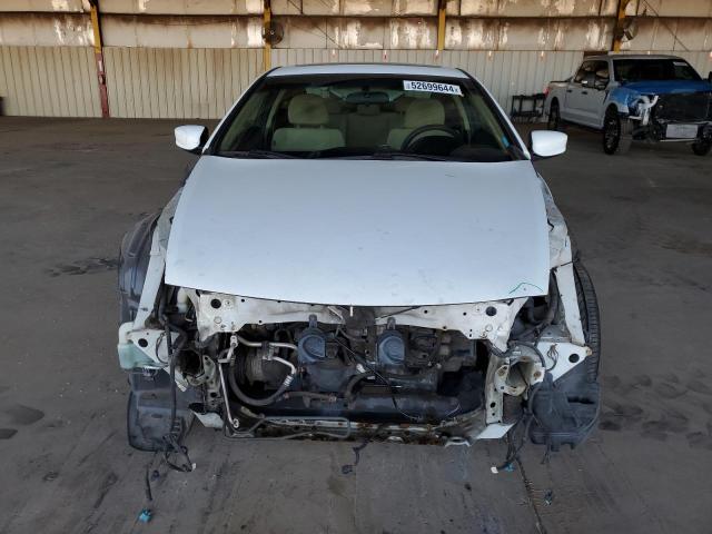 2010 Honda Accord Ex VIN: 1HGCS1B70AA013562 Lot: 52699644