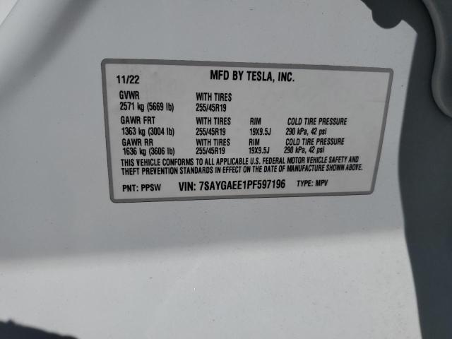 2023 Tesla Model Y VIN: 7SAYGAEE1PF597196 Lot: 56284534