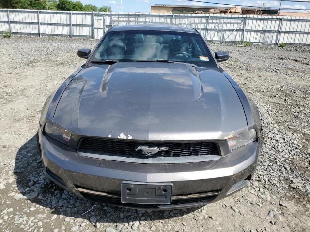 2011 Ford Mustang VIN: 1ZVBP8AM6B5167048 Lot: 56887024