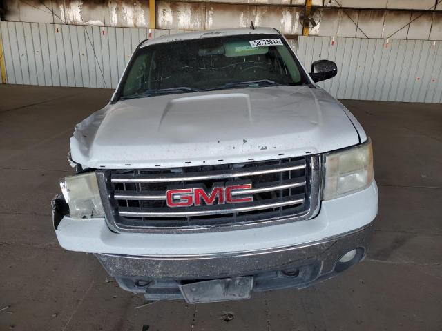 2013 GMC Sierra C1500 Sle VIN: 3GTP1VE03DG231204 Lot: 53773044