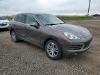 PORSCHE CAYENNE photo