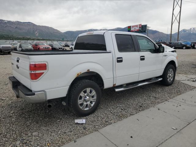 2010 Ford F150 Supercrew VIN: 1FTEW1E82AFA42516 Lot: 55735144