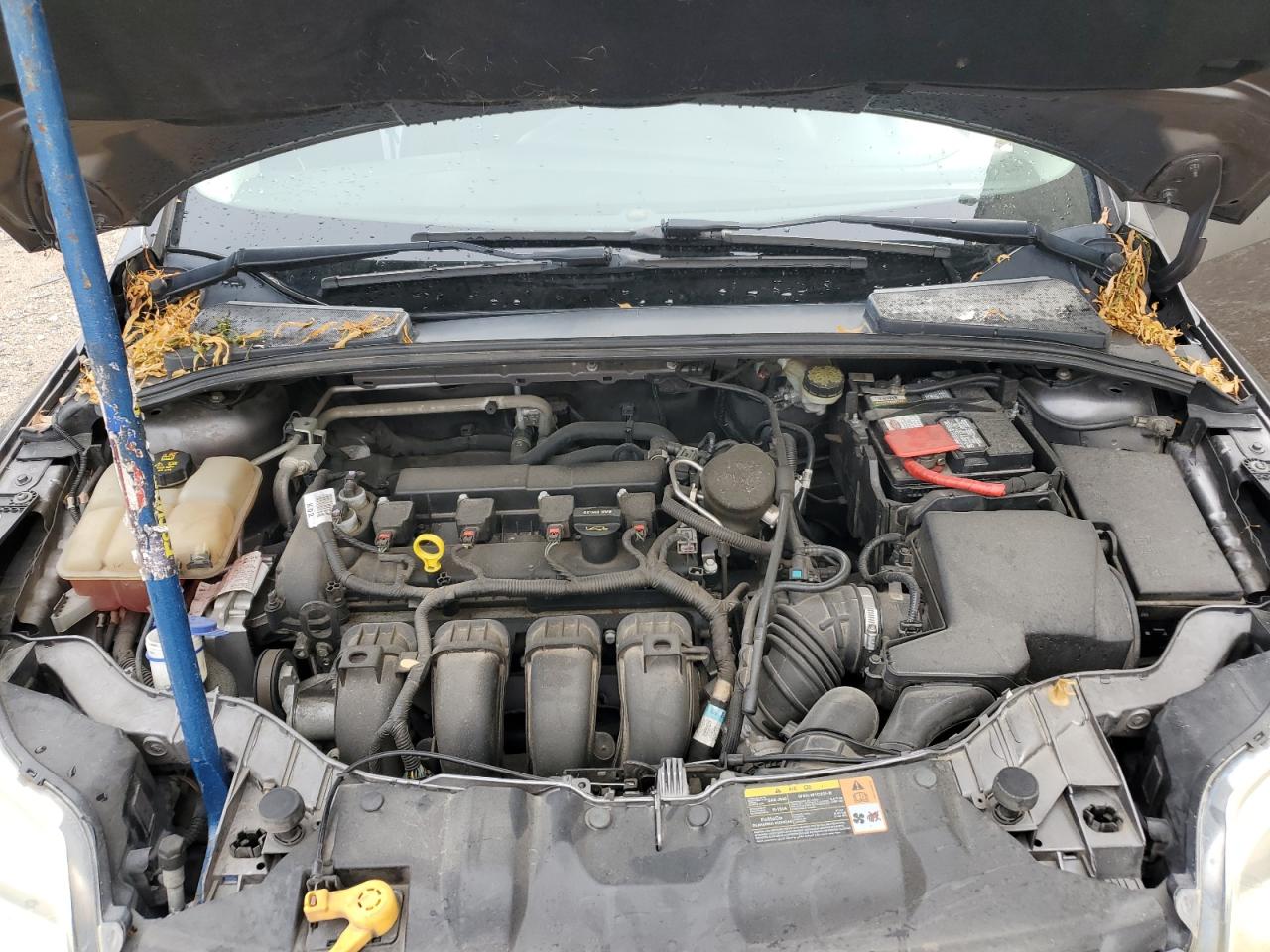 1FADP3K27EL259092 2014 Ford Focus Se